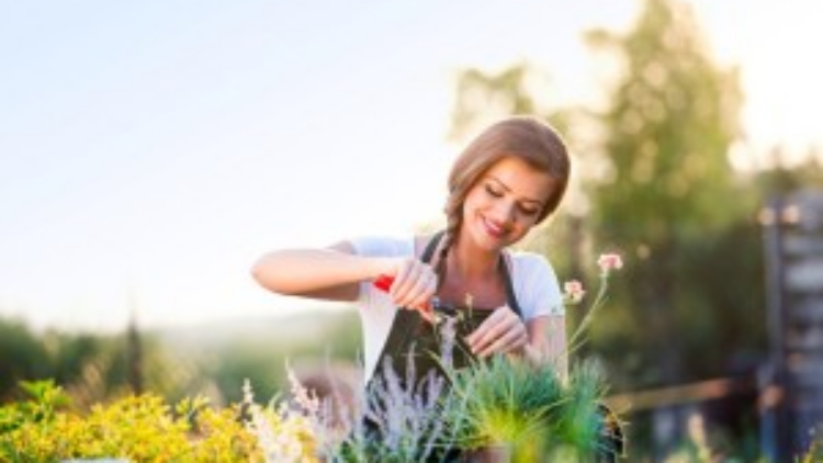 Gardening: 5 Tips to Avoid Pain & Strain